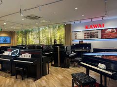 -柏斯琴行(汾阳店)