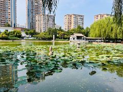 -团结湖公园