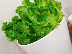 生菜-贵宾牛·潮汕牛肉火锅(珠池总店)