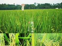 -低涌(地铁站)