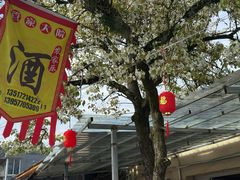 -大罗山风景区