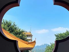 -深圳仙湖植物园