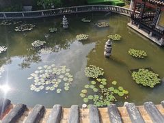 -碧江金楼