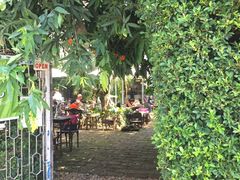 -Fern Forest Cafe