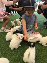 -萌宠亲子动物乐园(槐房万达店)