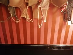 -Victoria's Secret(苏州中心全品类店)