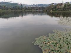 -枫香湖儿童公园