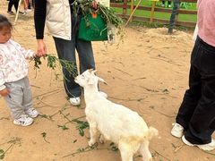 -盈香心动乐园