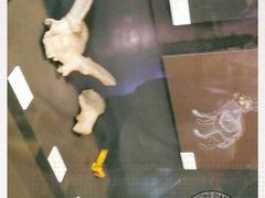 -北京周口店北京人遗址博物馆