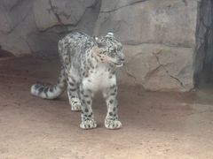 -青藏高原野生动物园