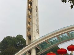 -南山植物园