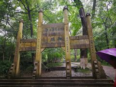 -镇江市南山风景名胜区竹林景区