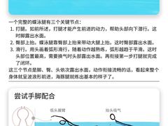 -陕西省游泳跳水馆