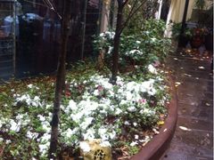 iphone_upload_pic-新竹里馆·花园餐厅(兴苑路店)