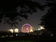 -万绿园