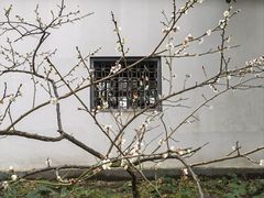 -上海醉白池公园