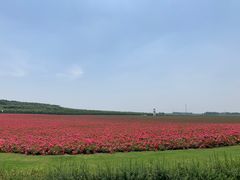 -南京枫彩漫城