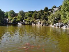 -北京西山国家森林公园