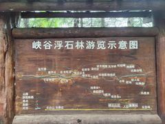 -峡谷浮石林景区