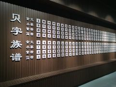-贝壳王国博物馆