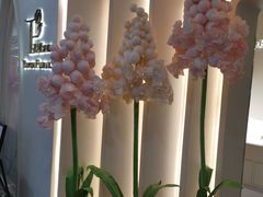 -PARFUM FLORAL花境法餐(南京首店)