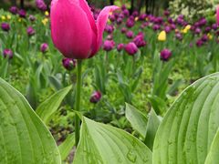 -长春公园(普阳街道)