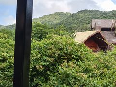 -海南槟榔谷黎苗文化旅游区