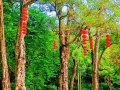 -广州市白云山风景名胜区