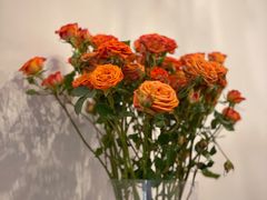 -翠娜家· Trina’s西餐厅(高新万达店)