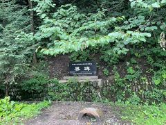 -牛背梁国家森林公园