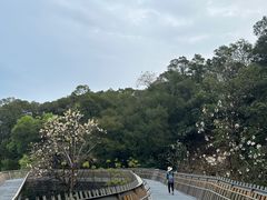 -福道