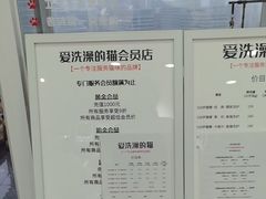 -爱洗澡的猫(望京店)