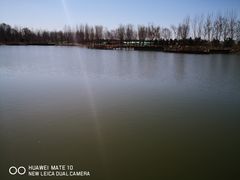 -东郊湿地公园