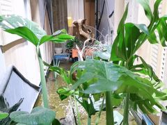 -邈墨茶馆(凤起路店)