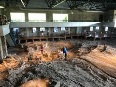 -自贡恐龙博物馆