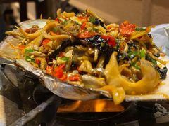 鲜河蚌干锅-壹盏灯(惠农店)