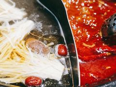 -蜀大侠火锅(车公庙店)