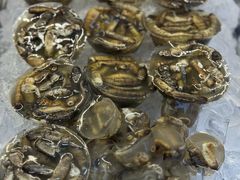 -铭聚章鱼土笋冻(松柏店)