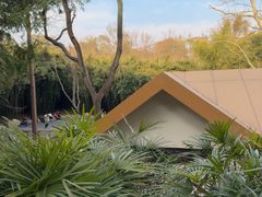 -成都大熊猫繁育研究基地-熊猫厨房