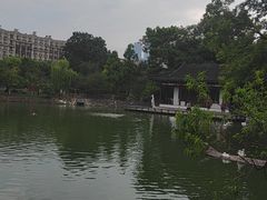 -南京金陵饭店