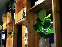 -梵猫·新养生(福州万象城店)