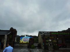 -白马涧龙池景区