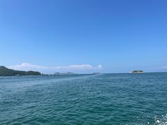 -广东惠东海龟国家级自然保护区