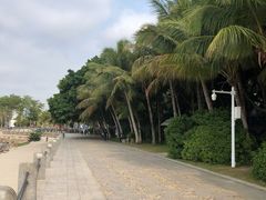 -深圳湾公园(南山区)