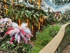-正佳雨林生态植物园