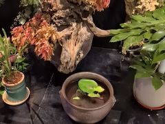 -淮扬府·游园京梦(北京SKP店)