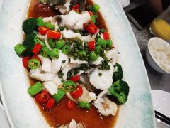 -天目馨缘