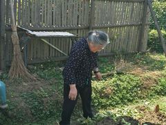 -上膳源有机农场