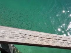 -东姑阿都拉曼海洋公园