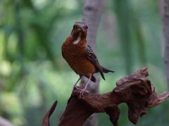 -苏州河梦清园环保主题公园